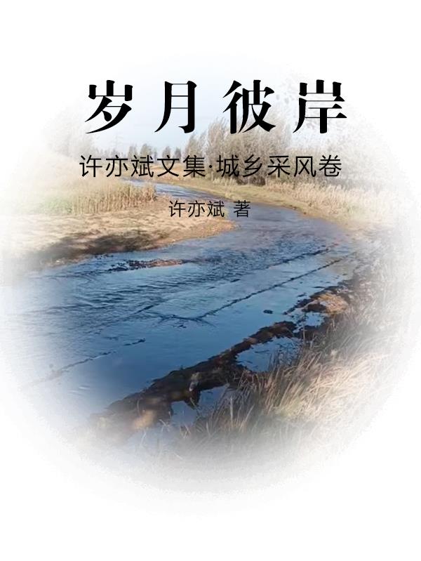 许亦斌文集城乡采风卷岁月彼岸 许亦斌